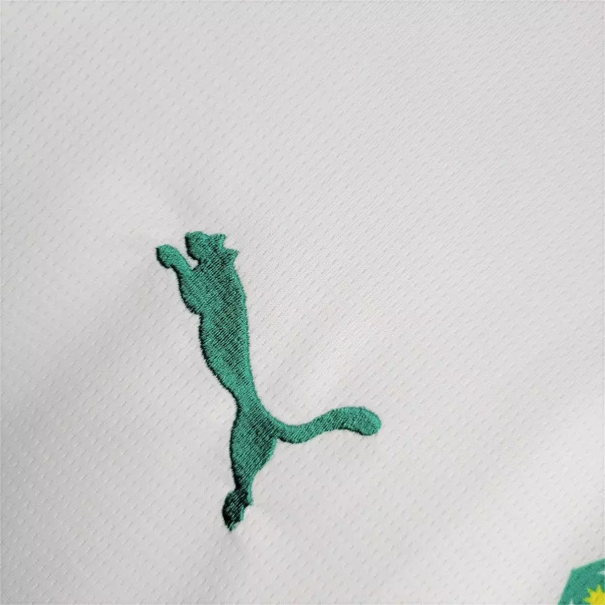 Camisa Senegal 2024/25 Home - Masculina