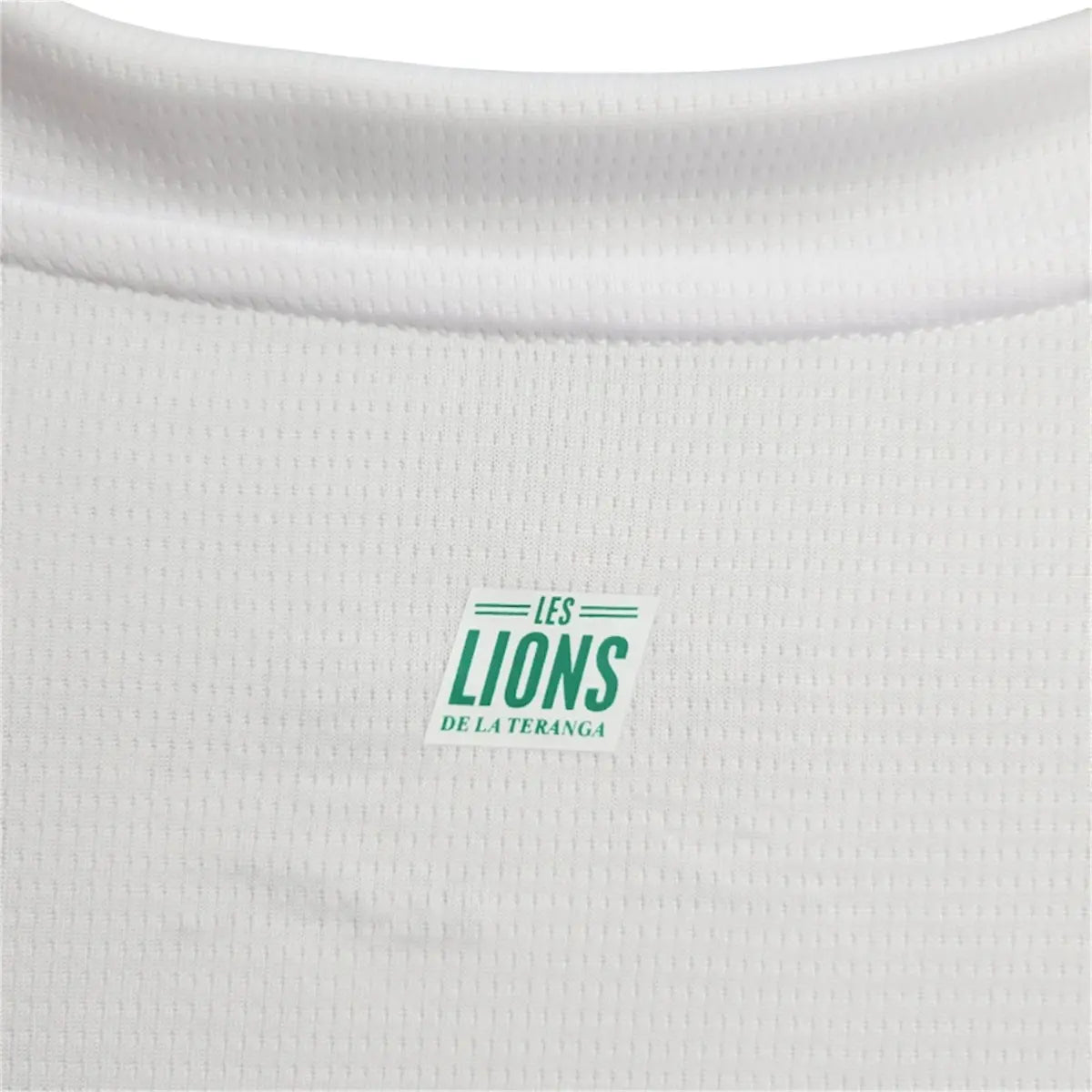 Camisa Senegal 2024/25 Home - Masculina