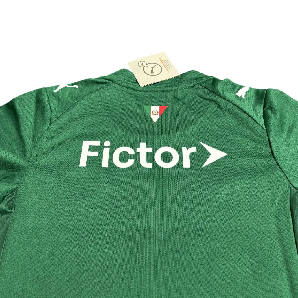 Conjunto Infantil Palmeiras 2026 Home