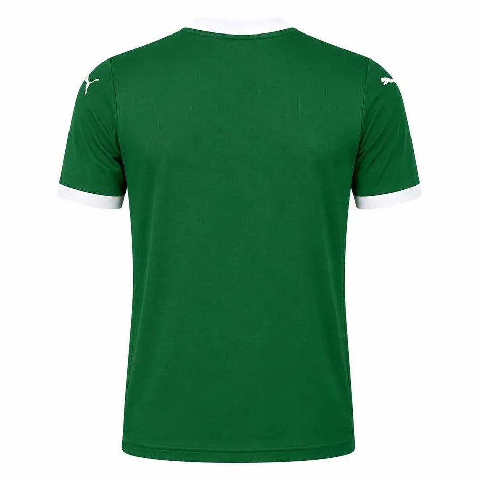 Camisa Palmeiras 2025 Home Verde - Tamanho G (L)