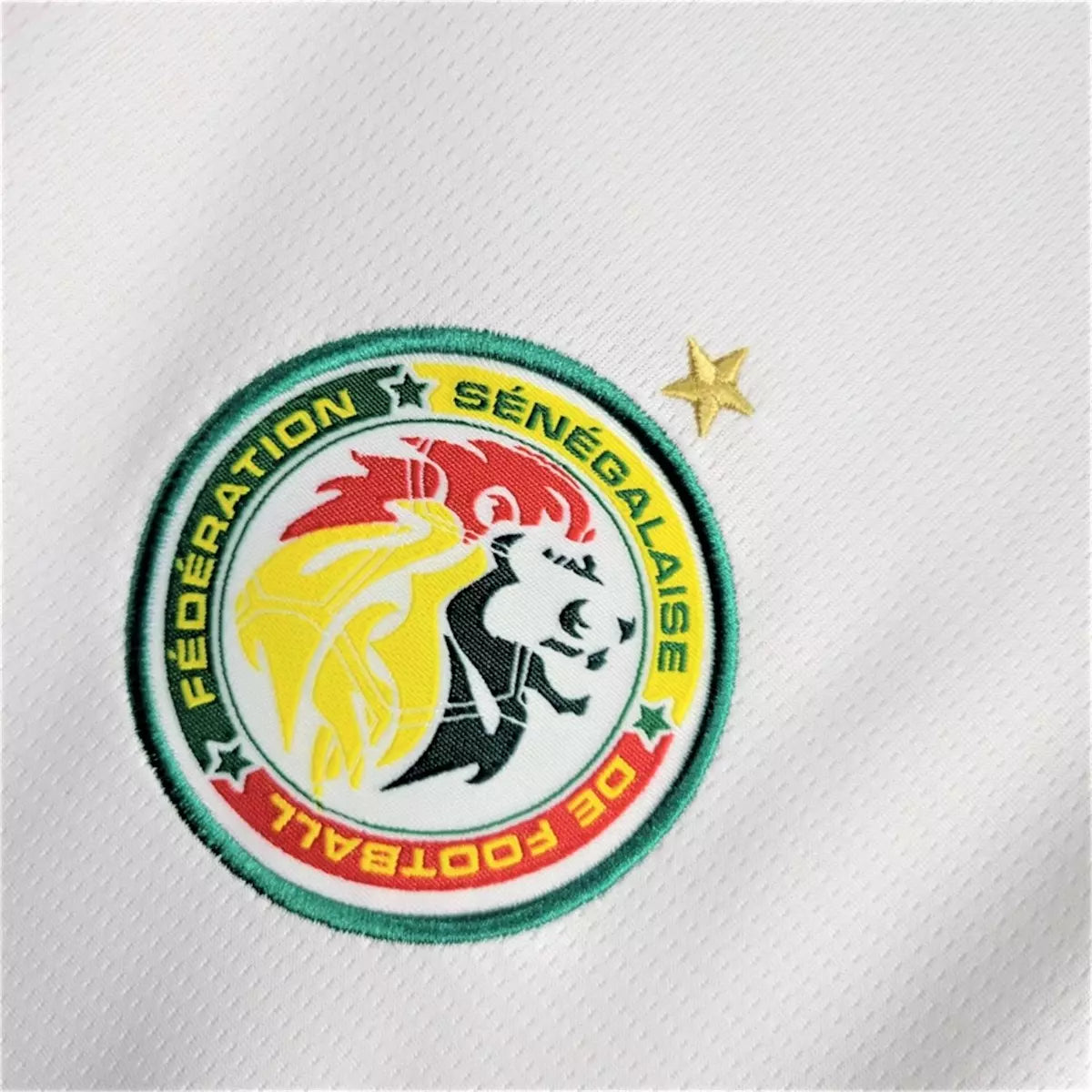 Camisa Senegal 2024/25 Home - Masculina
