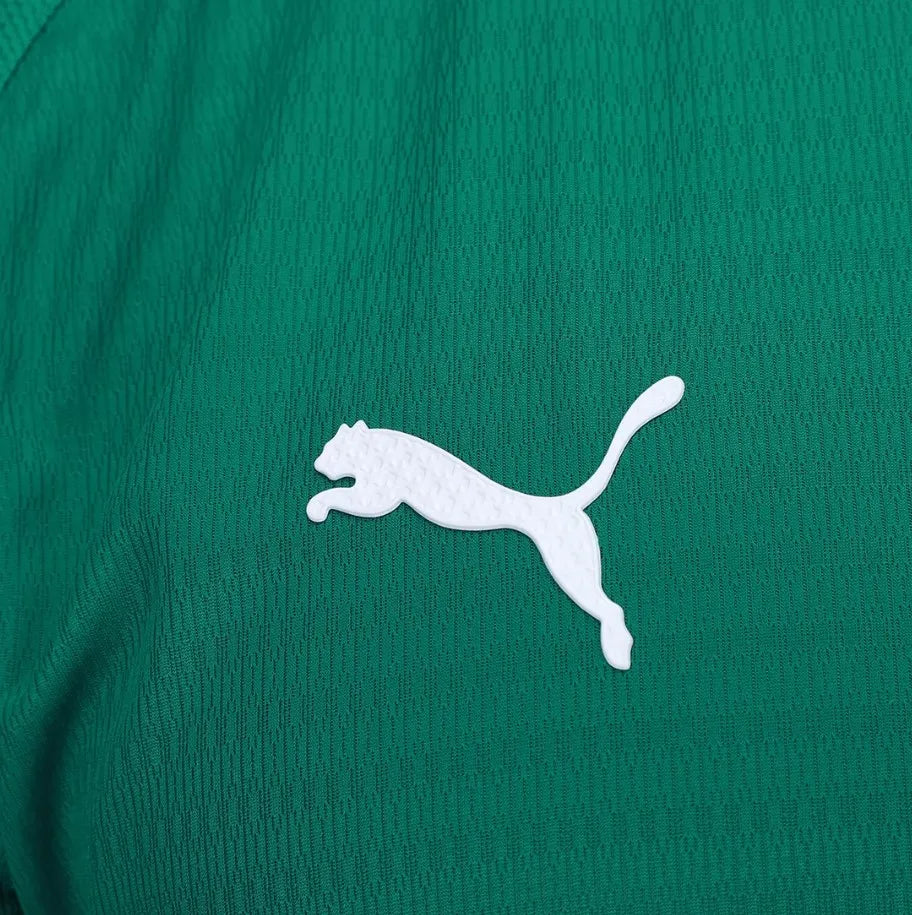 Camisa Palmeiras 2026 Home - Versão Jogador