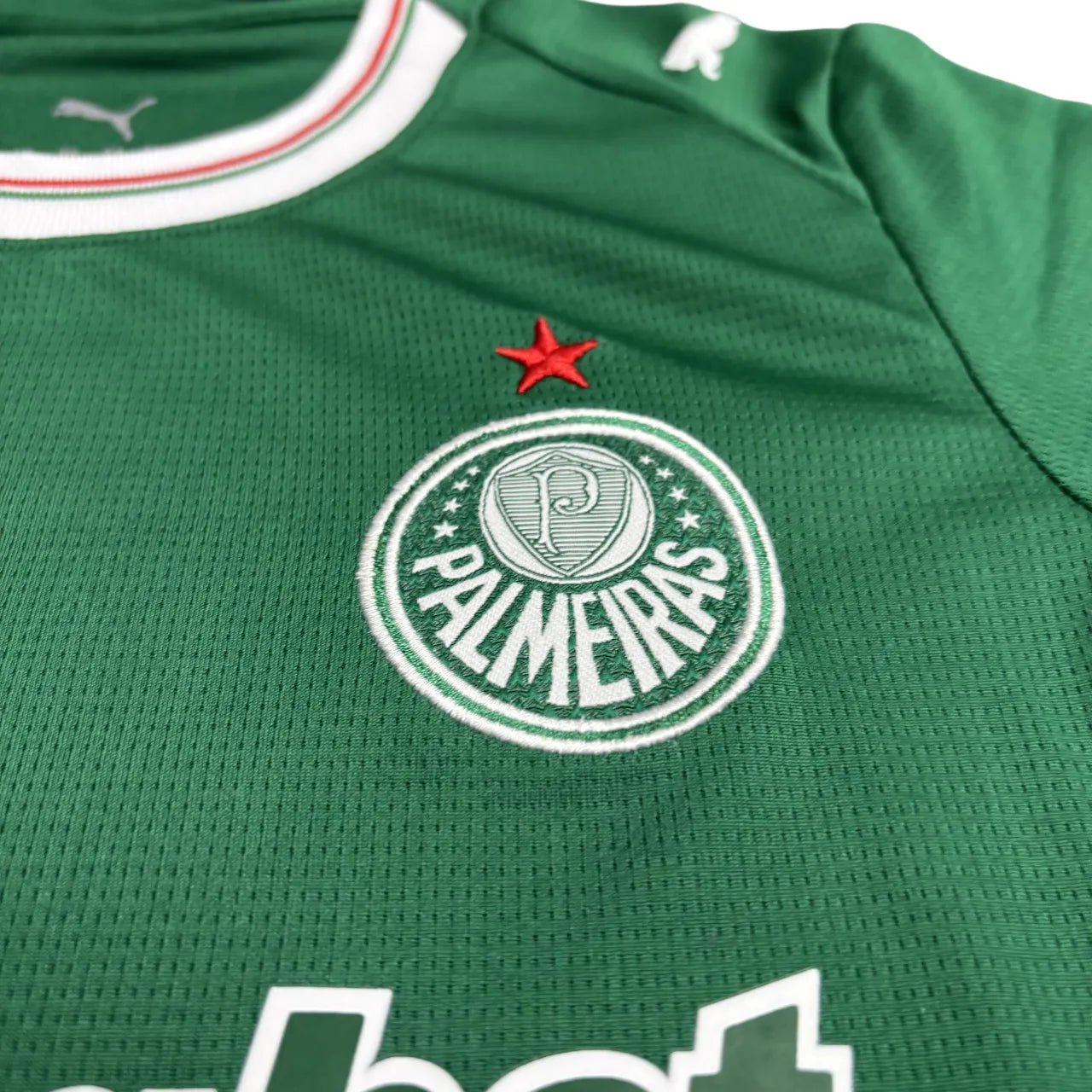 Conjunto Infantil Palmeiras 2026 Home